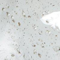 Anibe Lifestyle - Groove Lampfot Clear/Foileffect IP20 30cm