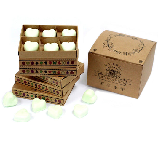 Anibe Lifestyle - Smältvax - Apple Spice