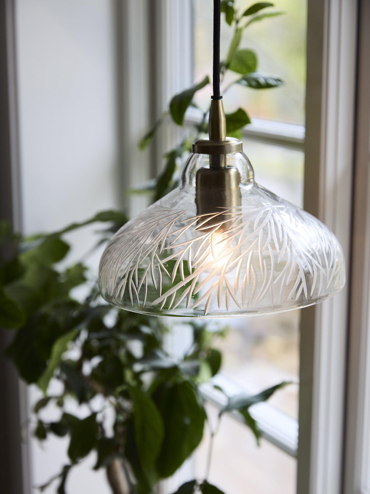 Anibe Lifestyle - Maple Taklampa Klarglas IP20 20cm