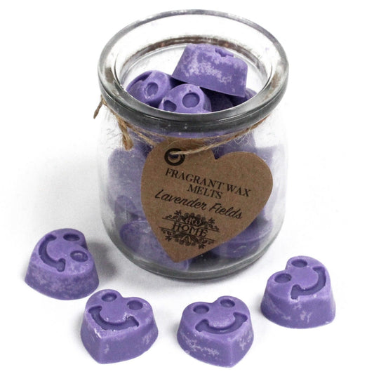 Anibe Lifestyle - Smältvax - Lavendel