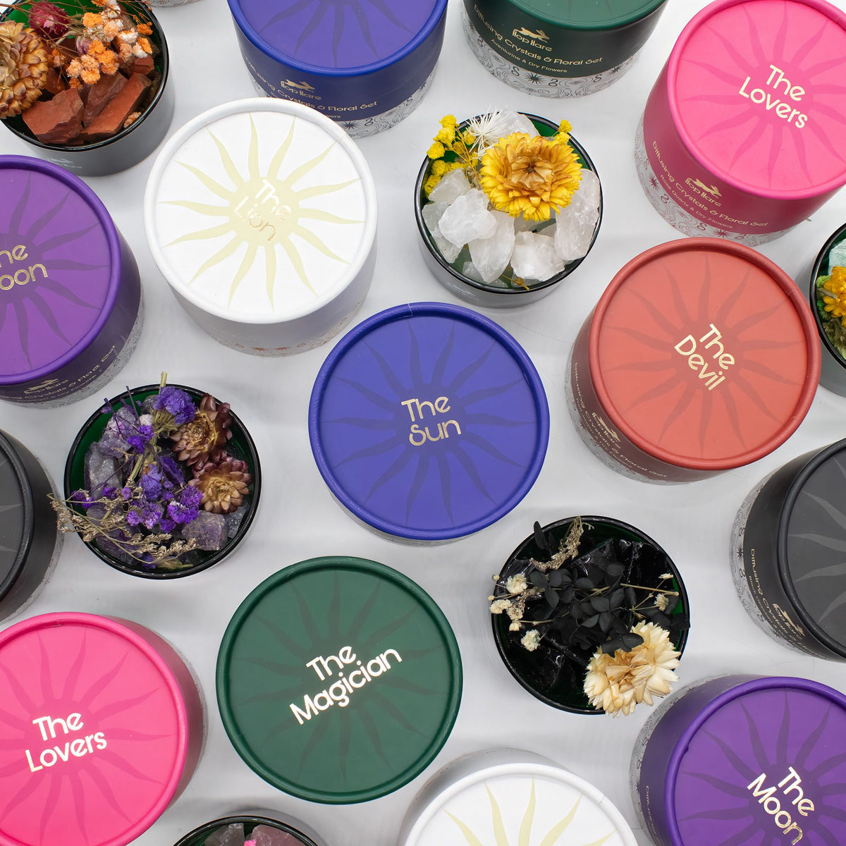 Anibe Lifestyle - Hop Hare Kristall och Blomset - The Lion