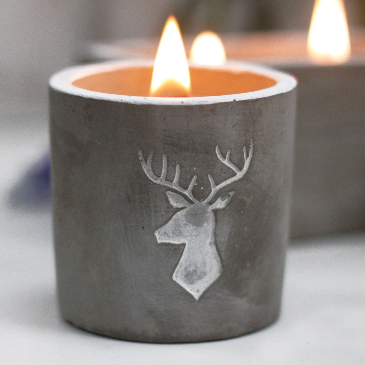 Anibe Lifestyle - Doftljus i betong – Stag Head – Whiskey & Woodsmoke