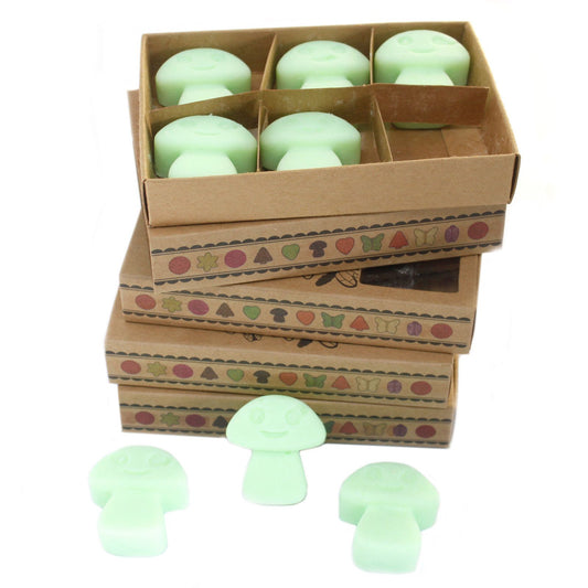 Anibe Lifestyle - Aromaterapi - Smältvax Liquorice